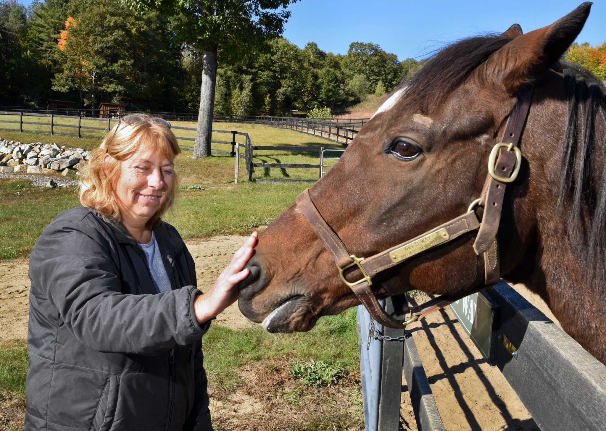 JoAnn Pepper cares for horses when their racing careers end - Vimarsana News