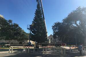 Photos: 55-foot Christmas tree erected at Alamo Plaza