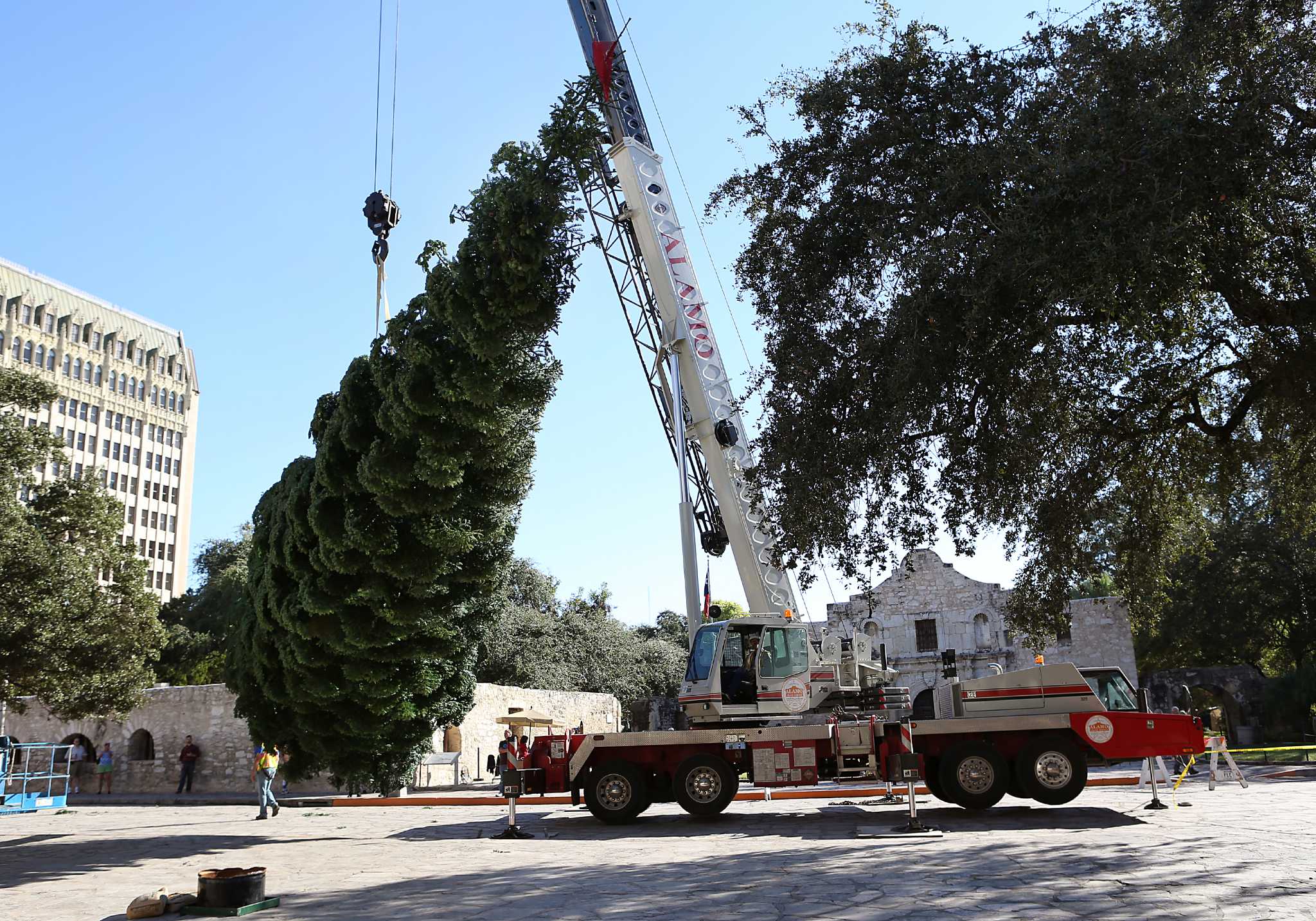 Photos: 55-foot Christmas tree erected at Alamo Plaza - San Antonio Express-News