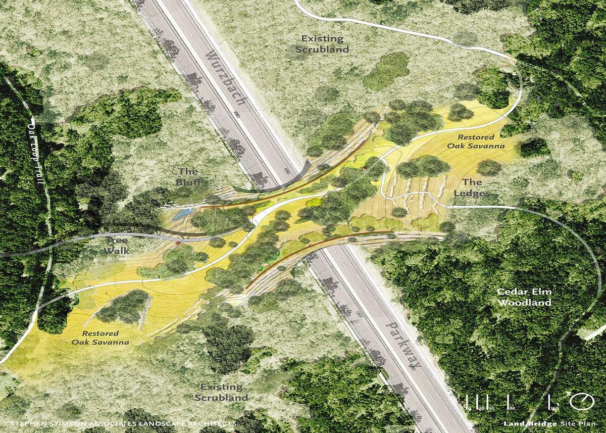 An undated rendering by Stephen Stimson Associates Landscape Architects shows what the Phil Hardberger Park Conservancy envisions as a bridge across Wurzbach Parkway to connect both sides of Hardberger Park.