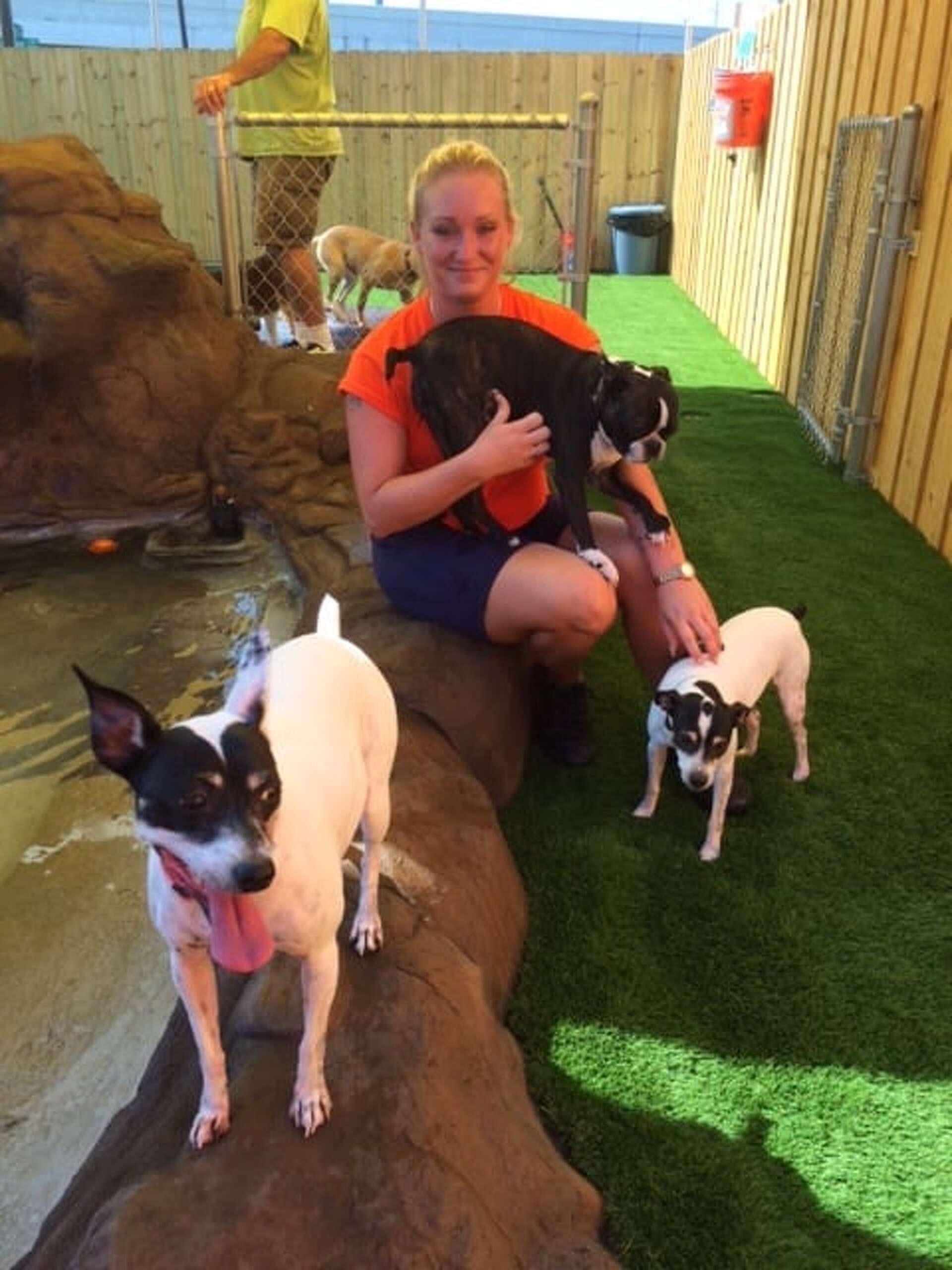 Best places to board your pet in Houston according to Yelp