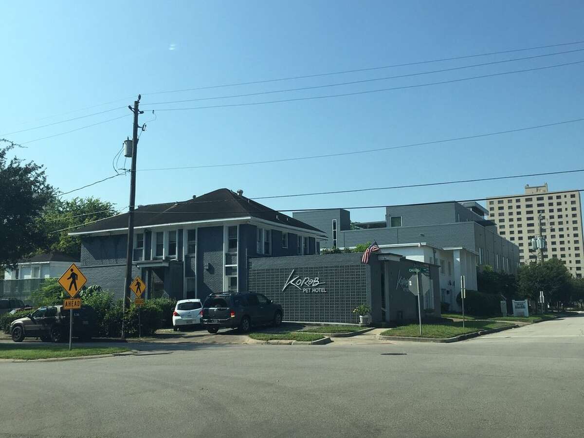 Best places to board your pet in Houston according to Yelp