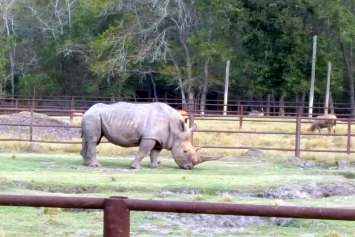 Once listed at $7 million, Alvin Bayou Wildlife Zoo finally has a new ...