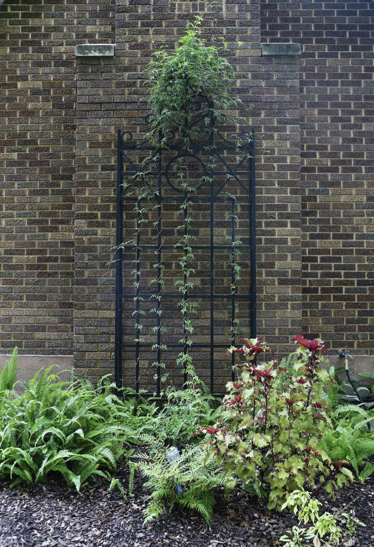 A rough start for home on Monticello Park Home Tour