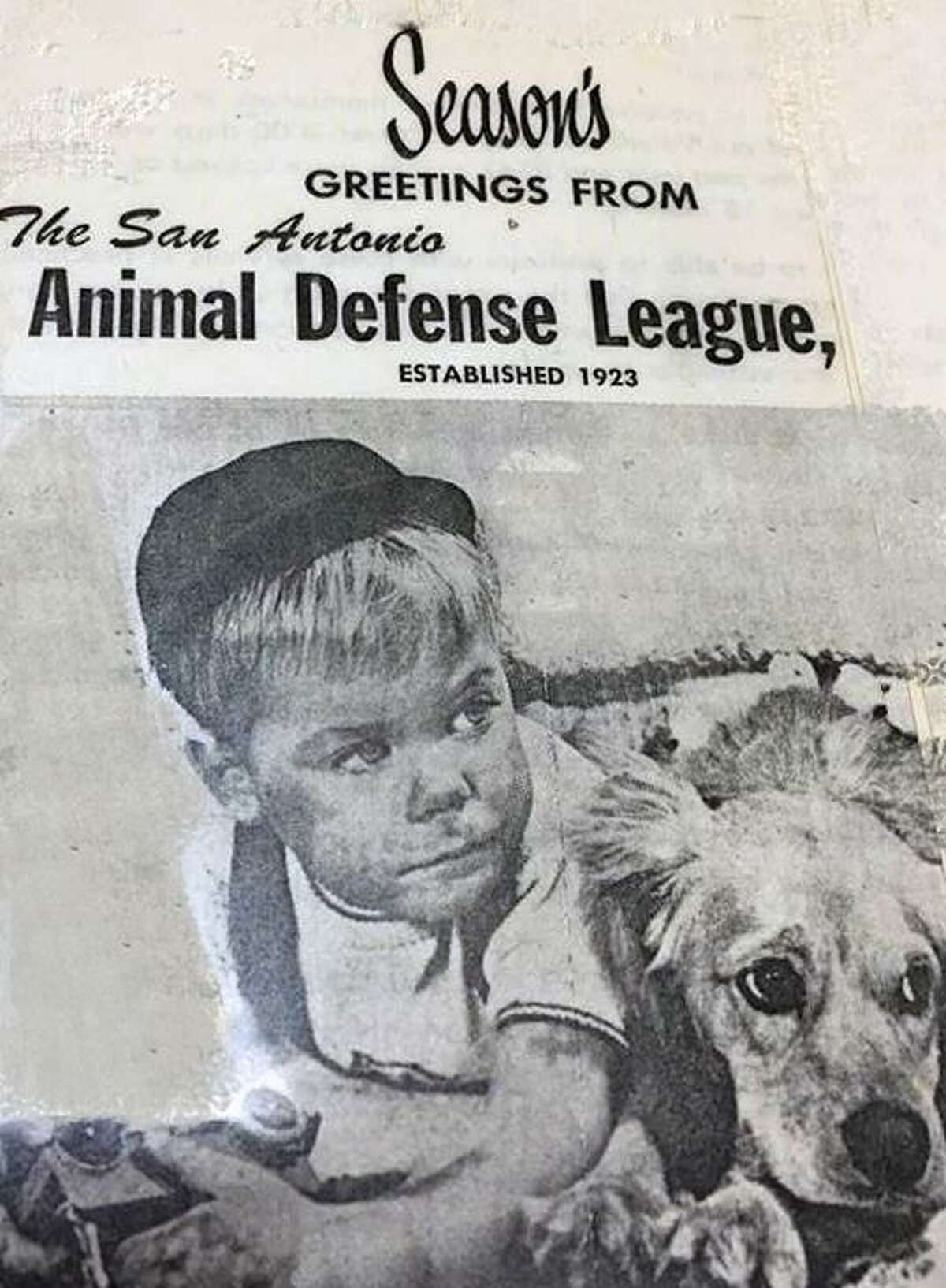 An old picture hangs on a wall at the Animal Defense League, founded in 1901 as the San Antonio Child Protective and Humane Society and spun off as a separate organization named the Animal Defense League, chartered in 1934.