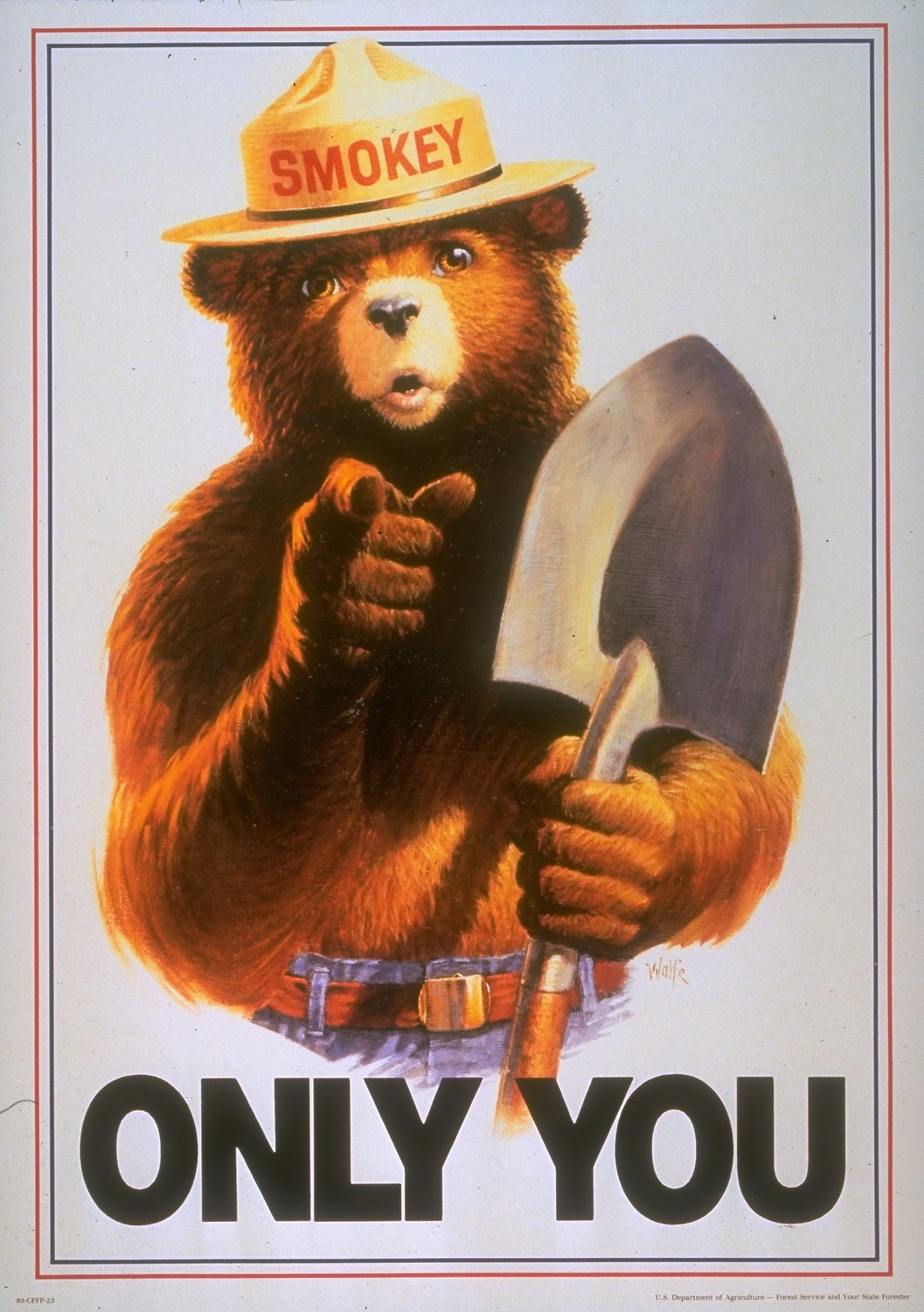 Was Smokey Bear Wrong? How a beloved character may have helped fuel catastrophic fires ...