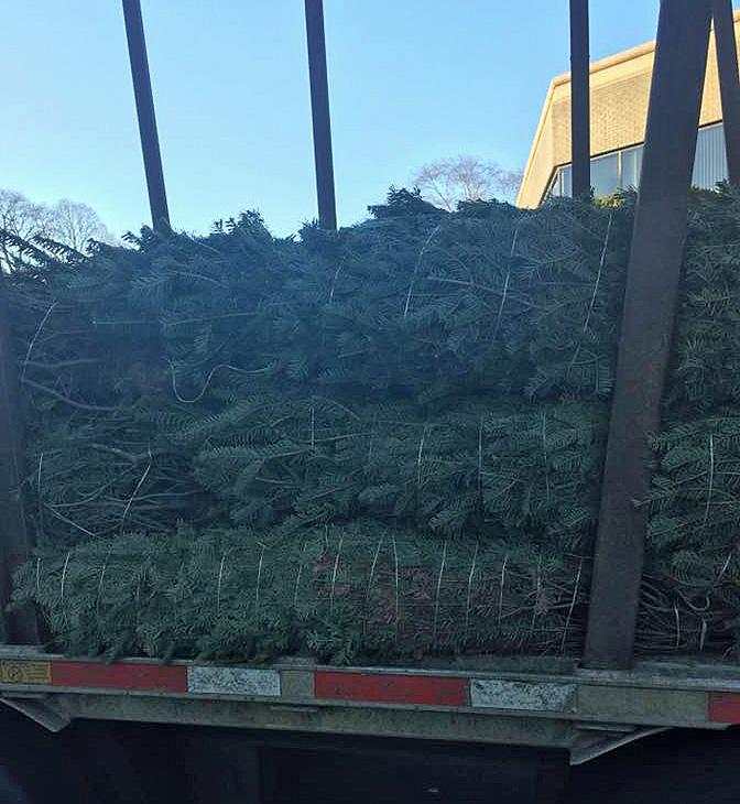 Trumbull firefighters selling Christmas trees