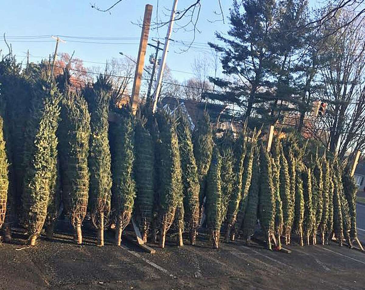 Trumbull firefighters selling Christmas trees