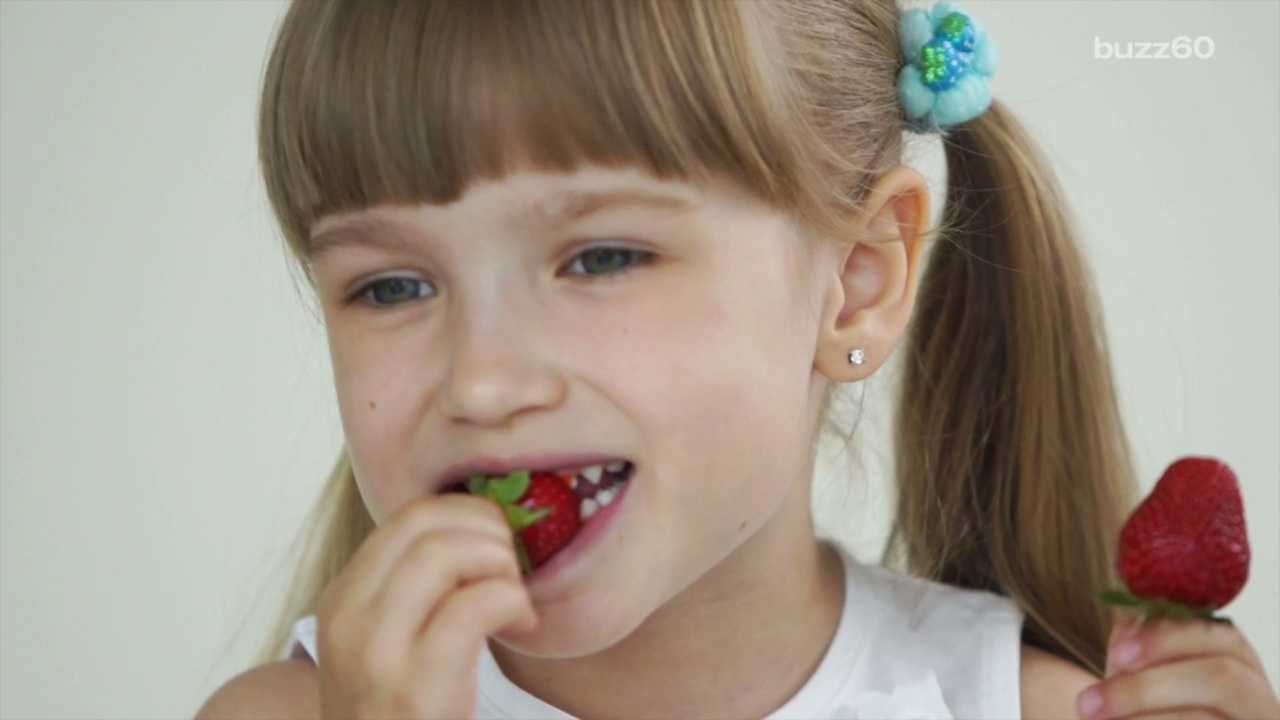 Bringing the family to S.F. for the holidays? Check out our list of kid