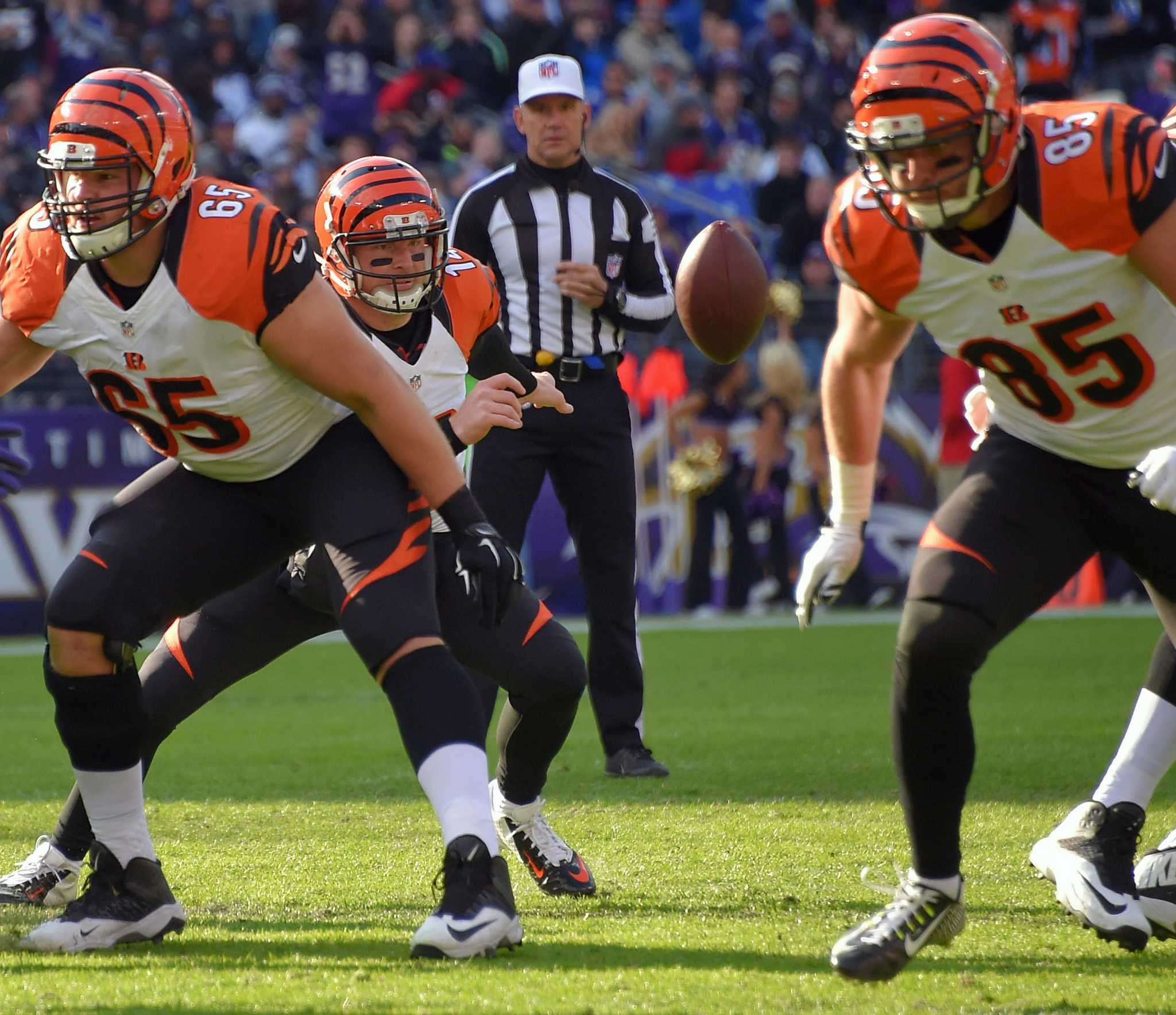 Andy Dalton leads way, Bengals beat Browns 31-10 to reach 8-0