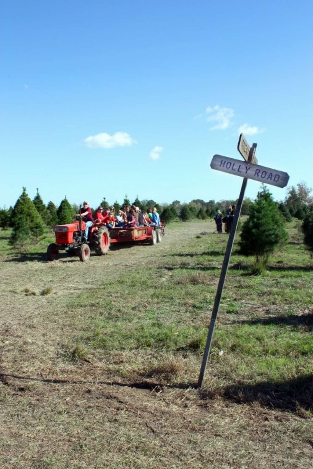 Holiday Acres 9029 Mustang Bayou Road, Manvel In addition to pine and cypress trees, the farm offers snacks and a fire pit to roast marshmallows. Open Thursday - Saturday, 9 a.m. to 5 p.m. while supplies last. The last day to cut a tree is Dec. 16. 