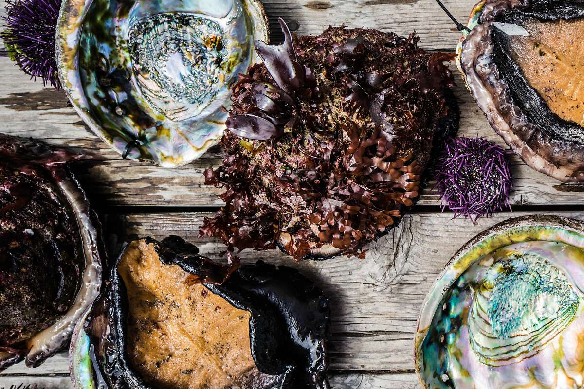 Fresh caught red abalone and purple urchin on the deck at the Little River Inn, Little River, Calif. seen on June, 27, 2016.