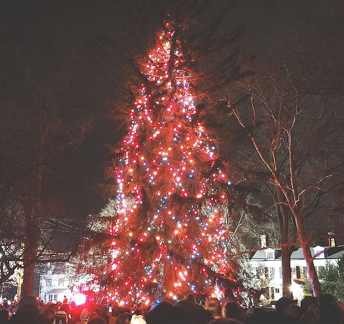 Tallest Christmas tree in Connecticut to be lit