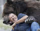 In this Wednesday, Sept. 7, 2016 photo, Jim Kowalczik plays with Jimbo, a 1500-pound Kodiak bear, at the Orphaned Wildlife Center in Otisville, N.Y. (AP Photo/Mike Groll)