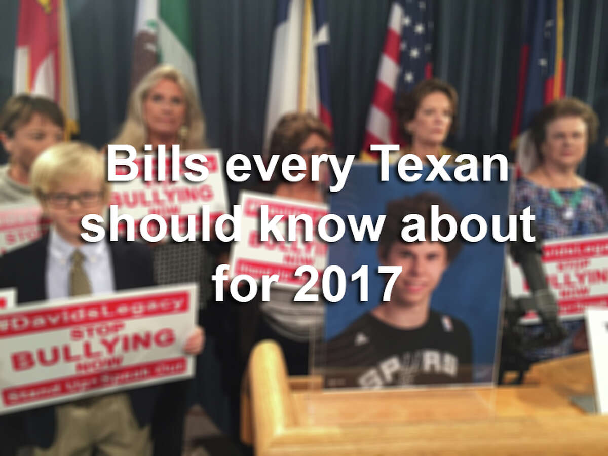 Click ahead to learn about bills currently proposed for the 2017 session.