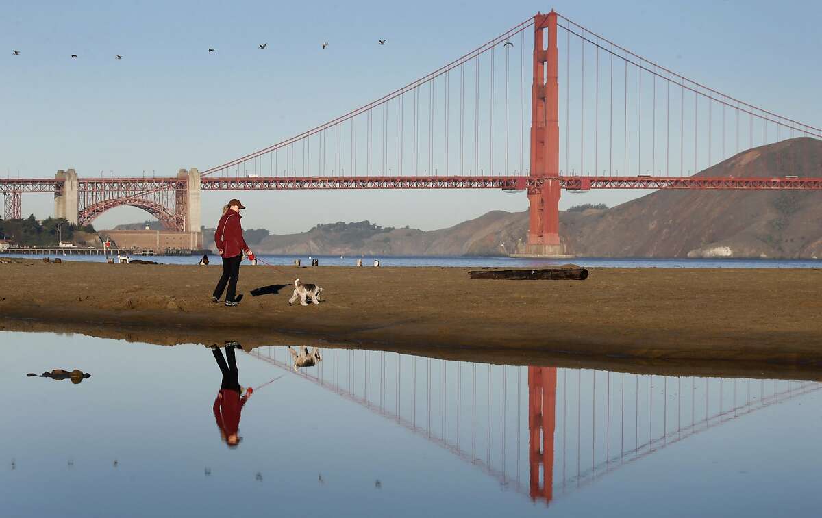 Daphne Stumpel walks on the beach with her dog Gigi at Crissy Field in San Francisco, Calif. on Thursday, Oct. 20, 2016. A gray whale carcass washed ashore at Crissy Field on Wednesday morning and was quickly removed to enable veterinarians to find out why it died.