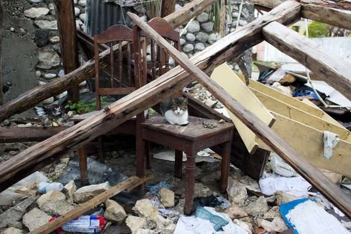 In this Wednesday, Oct. 19, 2016 photo, Manou, a female cat sits on a chair in the debris of a home destroyed by Hurricane Matthew in Port-a-Piment, a district of Les Cayes, Haiti. Hopes have dimmed for Haitians combing the countryside for missing relatives in the Caribbean nation’s hardest-hit zone, the remote and long-ignored southwestern tip. (AP Photo/Dieu Nalio Chery)