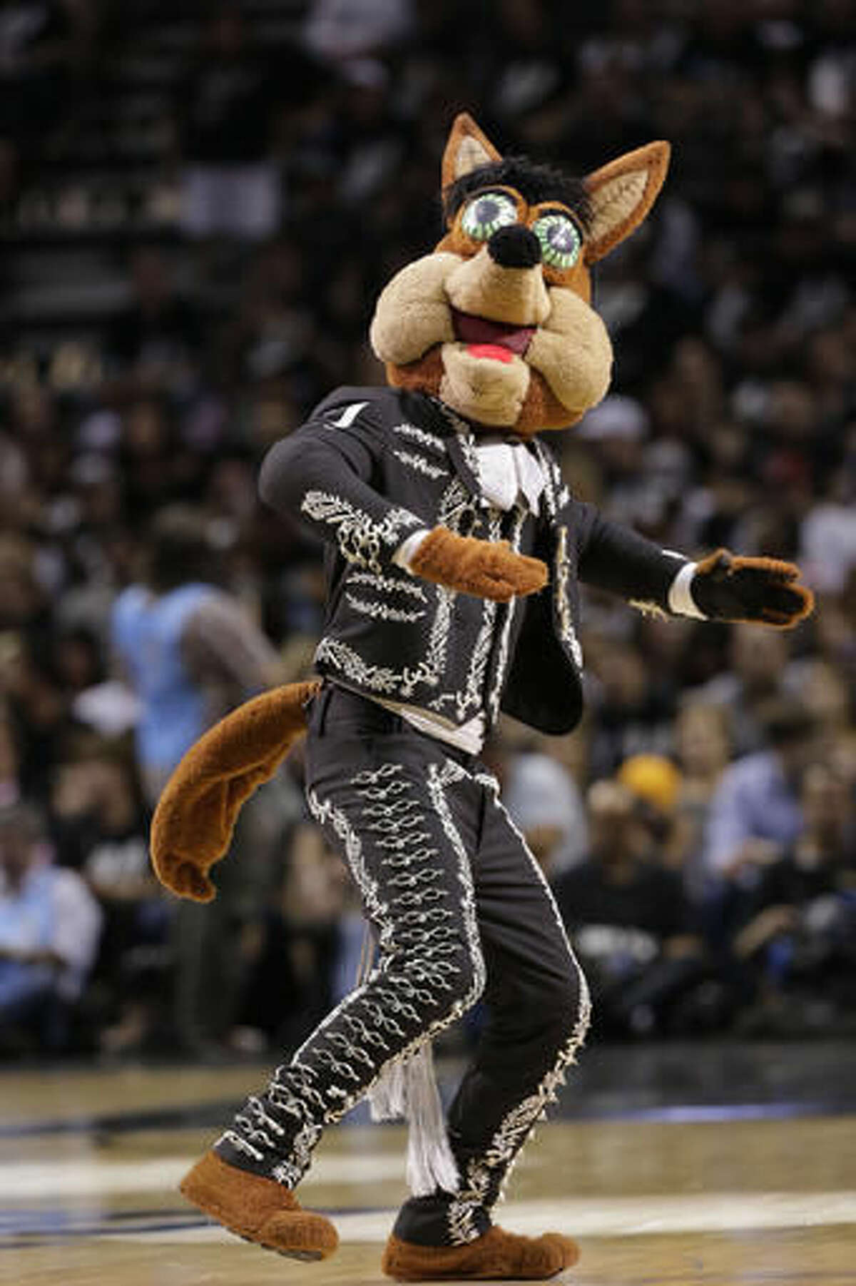 Spurs Coyote over the years  Spurs, Coyote, San antonio spurs