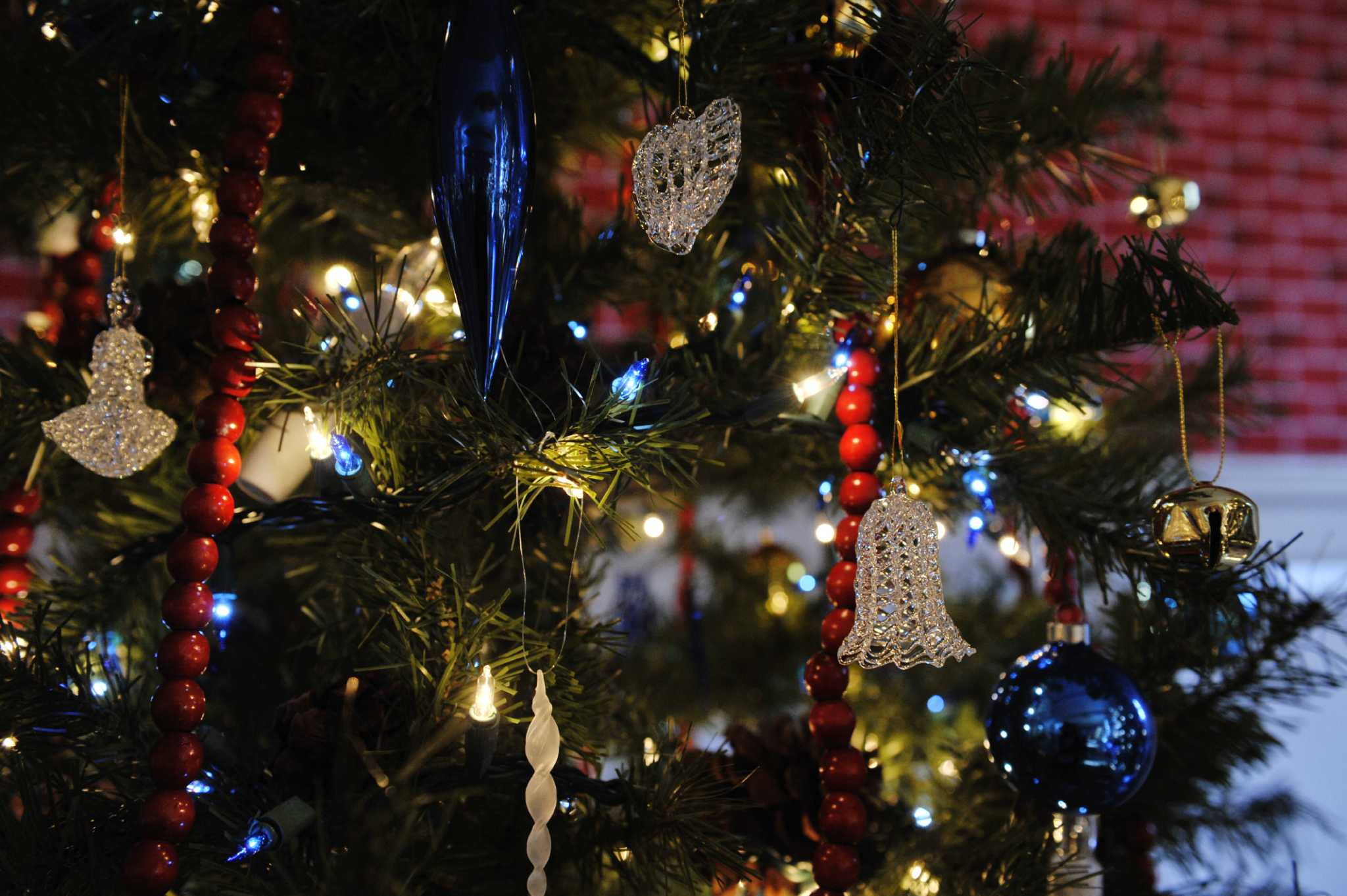 Lesser-known seasonal things to do in the Capital Region
