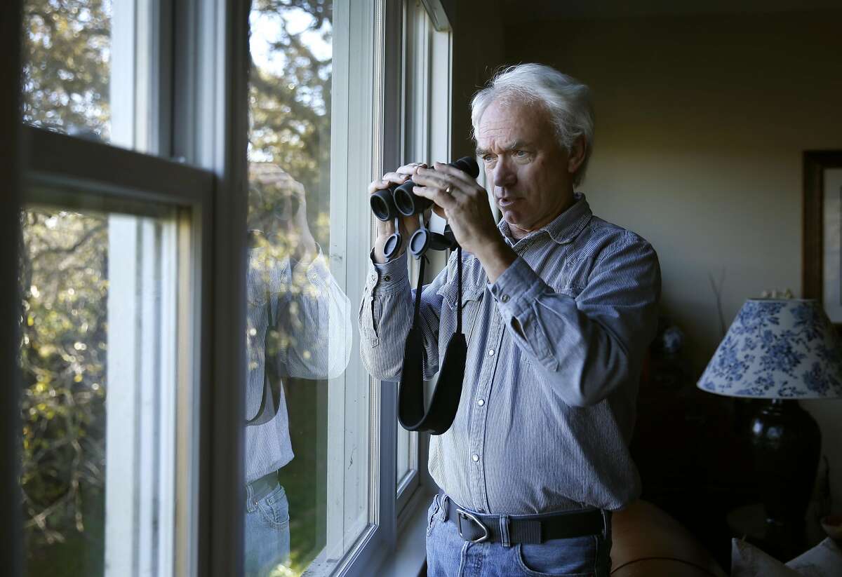 Monte Deignan observes a coyote pack from the living room of his home in Larkspur, Calif. on Friday, Dec. 2, 2016. A community meeting to discuss coexistence between humans and coyotes will take place on Dec. 12 in Corte Madera.