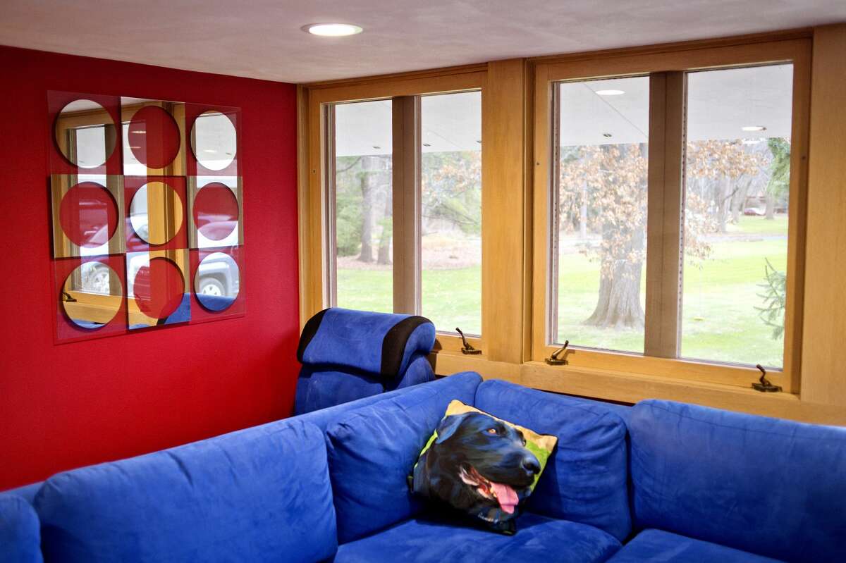 The 36th Annual Zonta Homewalk