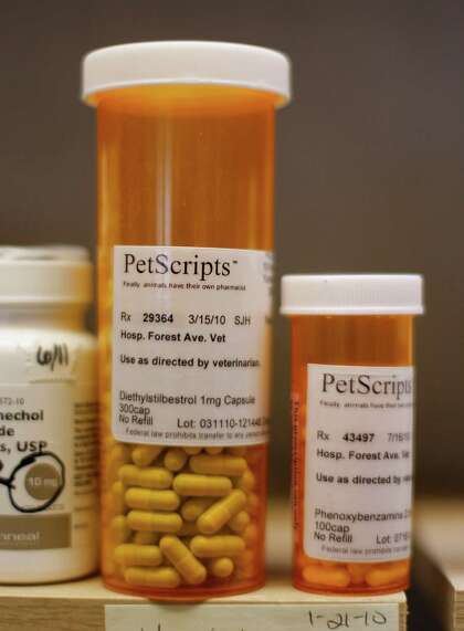 pet meds without rx