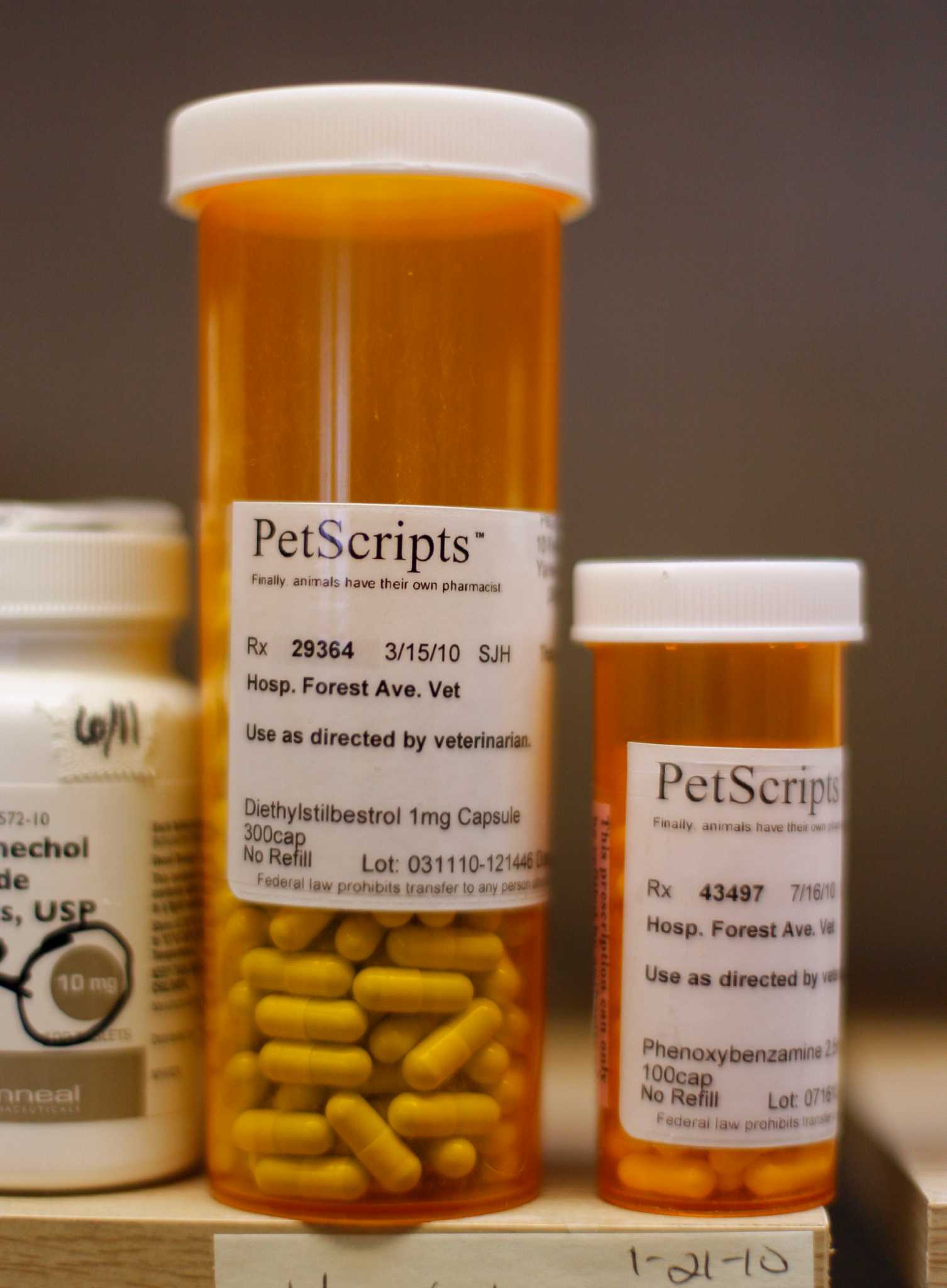 pet meds without a prescription