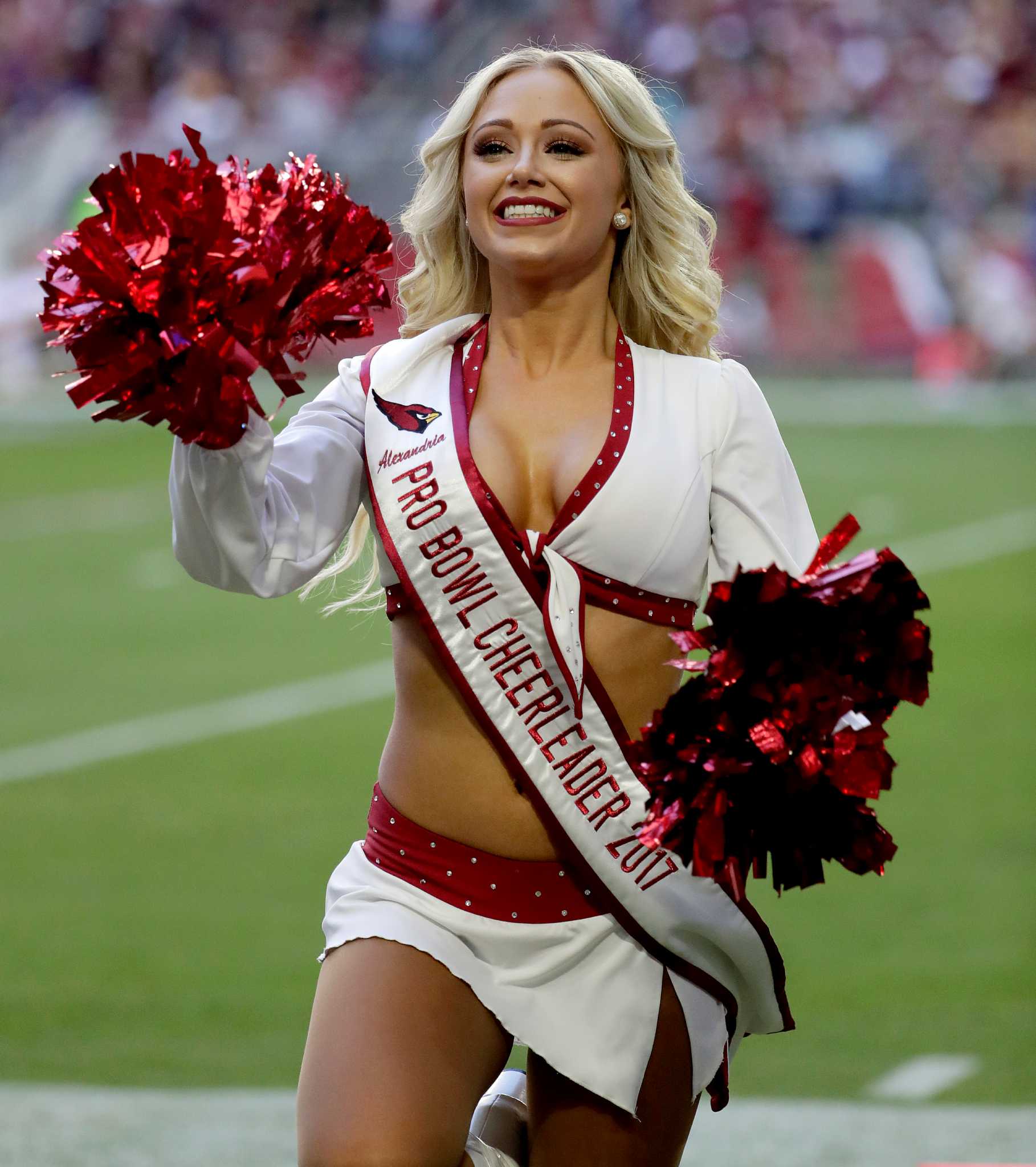 NFL cheerleaders in 2016 season