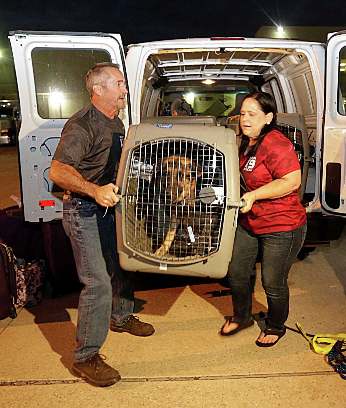 These military dogs have earned a place in our hearts