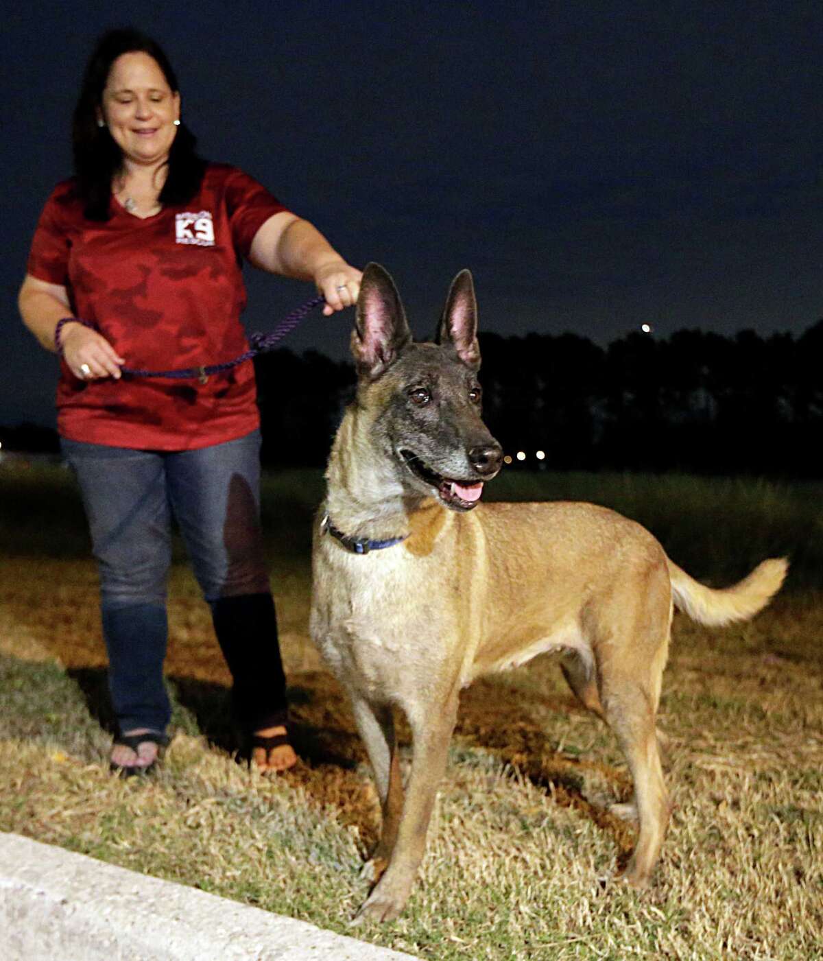 These military dogs have earned a place in our hearts