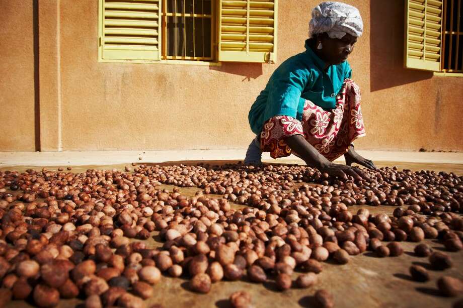 A woman spreads shea nuts on a concrete floor to dry them in the sun at the Si Yiriwa shea processing center in the town of Diolila, Mali on Friday January 15, 2010. Photo: Olivier Asselin / Olivier Asselin