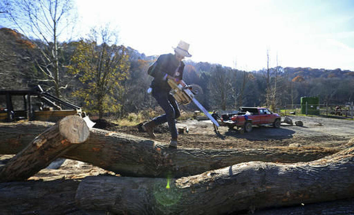 In this Tuesday, Nov. 15, 20156 photo, Allen Miller, of Dayton, scales a pile of rough timer while logging in Lower Burrell, Pa. (Louis B. Ruediger /Pittsburgh Tribune-Review via AP)