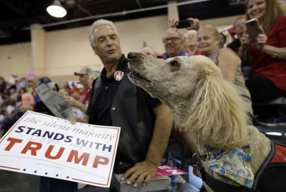   2. Tampa, FL

Take some coffee and relax on Ginger Beard Coffee

Bring your pooch and shop around the Farmacy Vegan Kitchen & amp; Bakery

Do not forget to receive your dog with the water station in 1949. Photo: Chris Meara 
