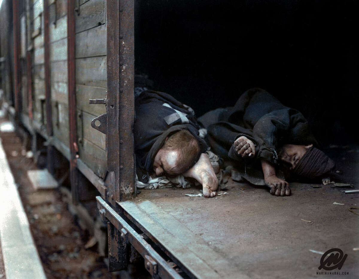 Three bodies of prisoners shot by Nazis in a boxcar by SS troops at Seeshaupt, Germany.