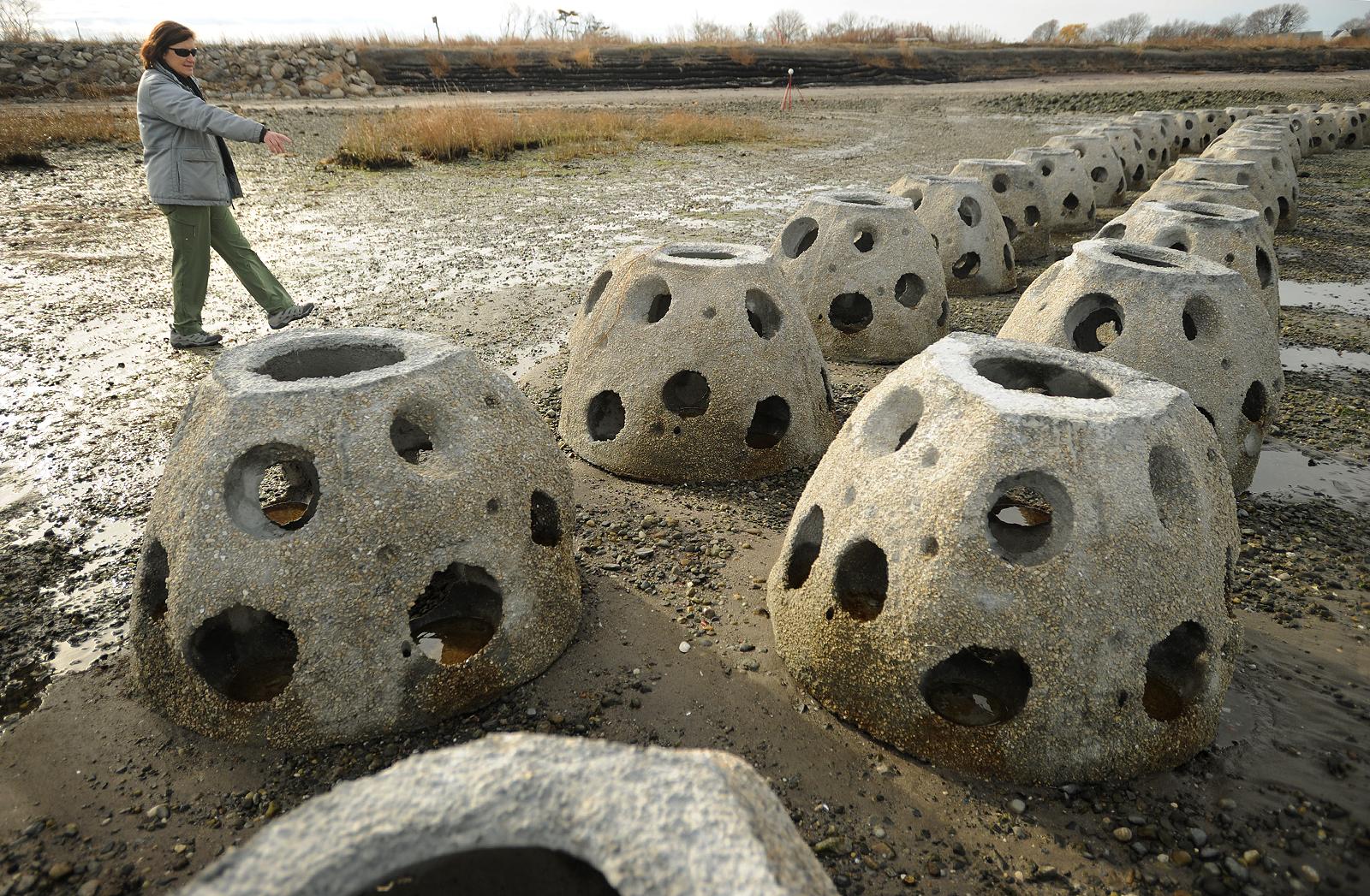 Creating a ‘living shoreline’ with Reef Balls Connecticut Post