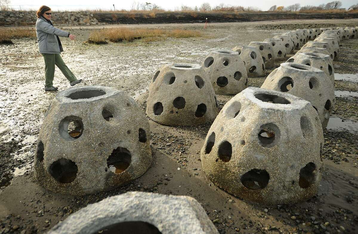 Sacred Heart University professor Jennifer Mattei gives a tour of the 325 newly installed reef balls along a section of the shoreline in Stratford on Tuesday. The balls break up the force of wave action to reverse the erosion process.