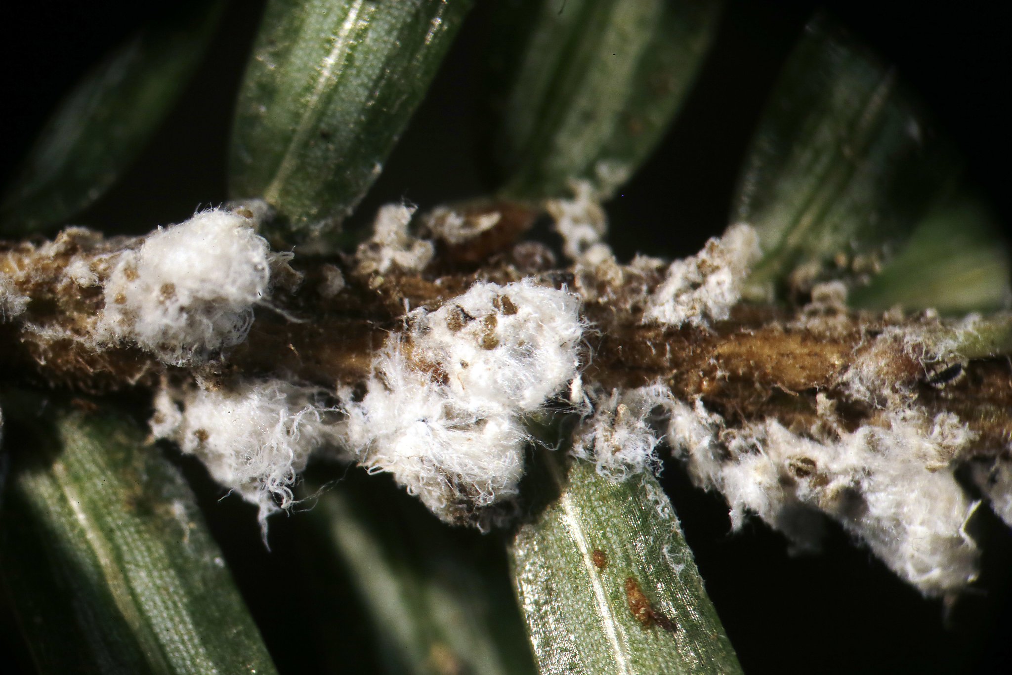 Battery-killing frigid blast could stymie alien invaders