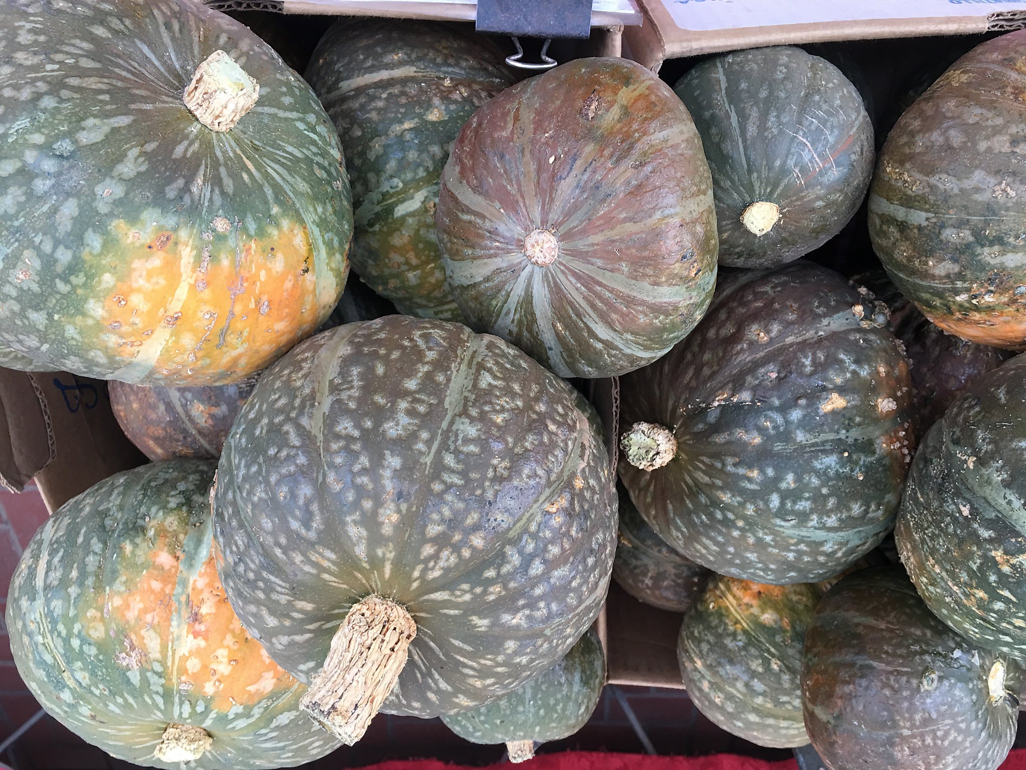 Market watch: Kabocha squash is perfect for rainy day cooking