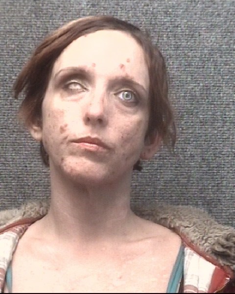 Meth Arrest Mugshots My Xxx Hot Girl