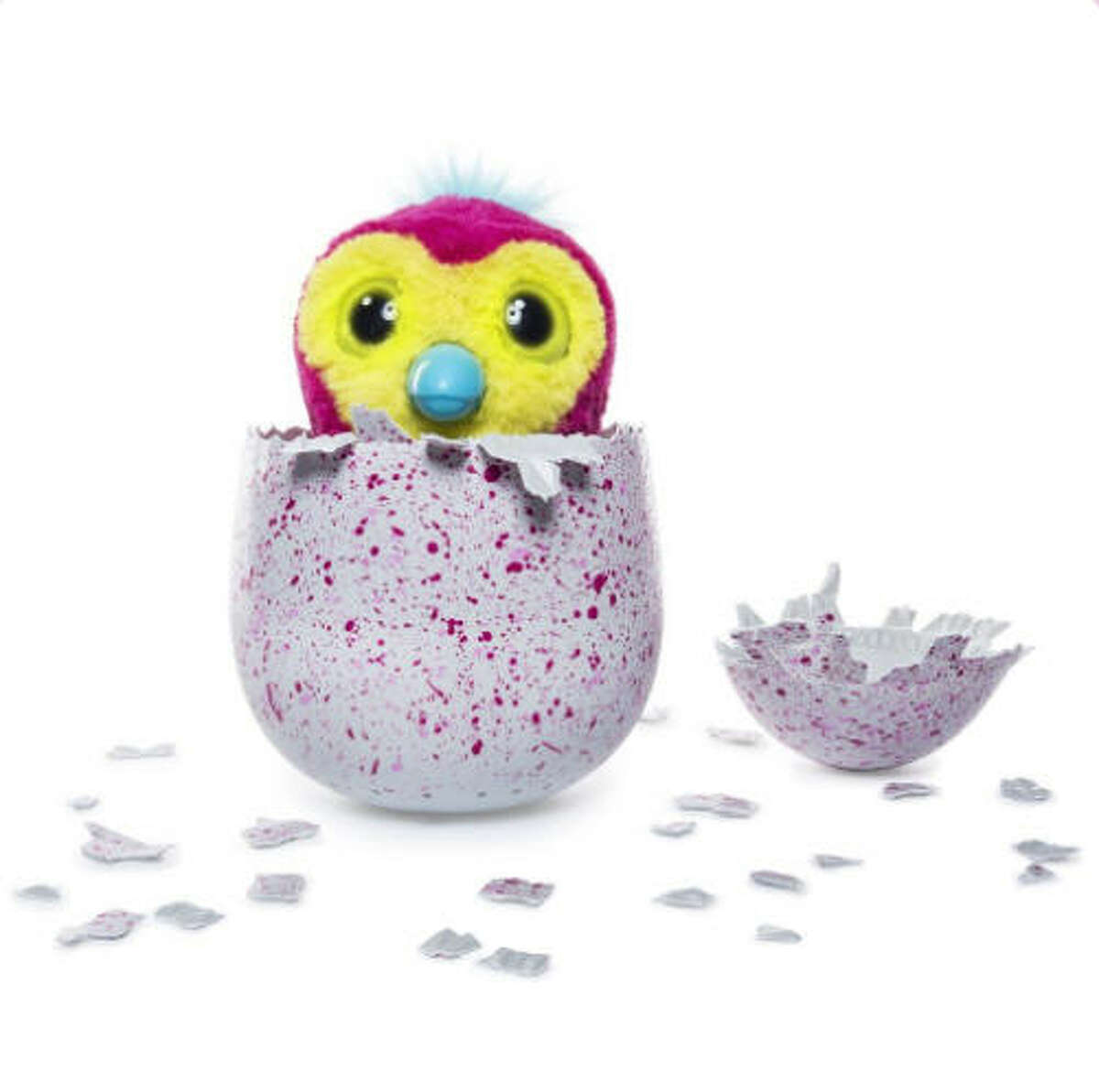 The toy This year's toy that's insanely highly sought is a Hatchimal. Basically, someone hatches their own egg and a toy comes out to play with.