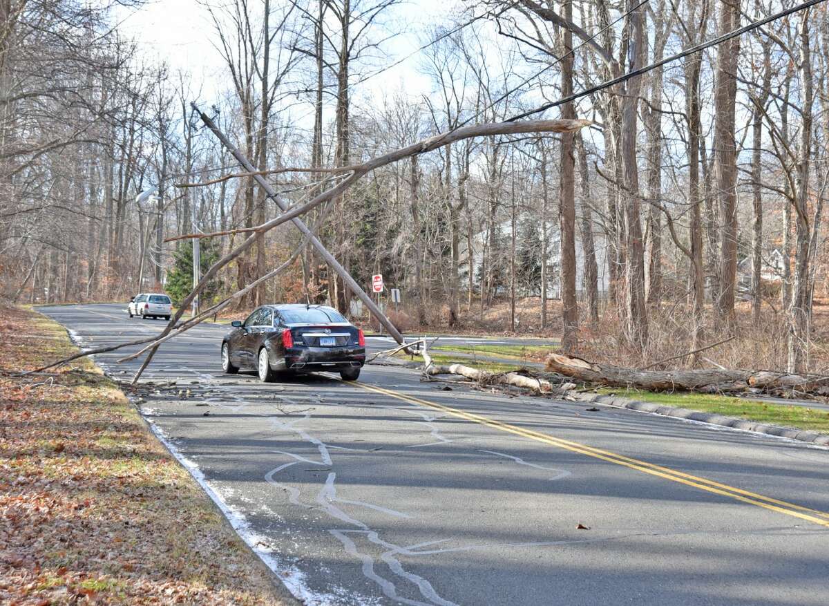 High wind gusts toppled this tree on Knowalot Lane on Thursday, Dec. 15, 2016, falling on wires that pulled over a utility pole.