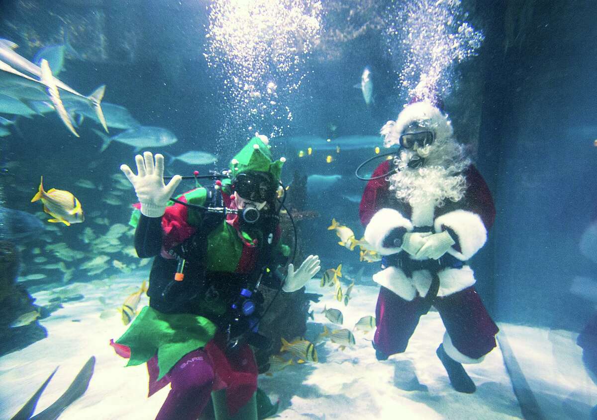 ﻿Santa and his elf, in the fish tank, during Breakfast with Santa at the Downtown Aquarium in Houston. (For more Santas in hard-to-believe places, scroll through gallery.)