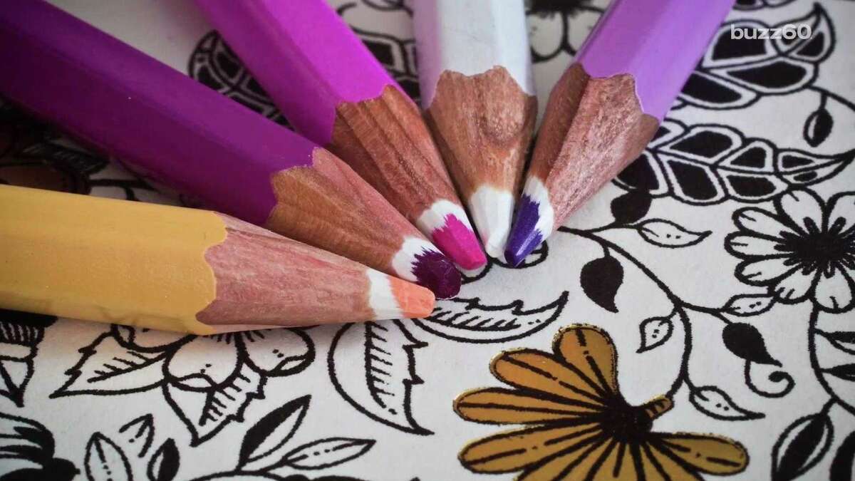 Midland RockHounds Team Color Pencil