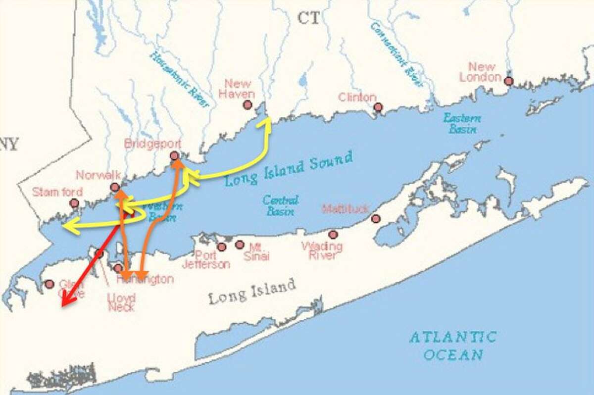 The projected trade routes for the Harbor Harvest sustainable shipping project include ports in Stamford, Norwalk, Bridgeport and New Haven. The first route would be from Norwalk to Glen Cove, Long Island.