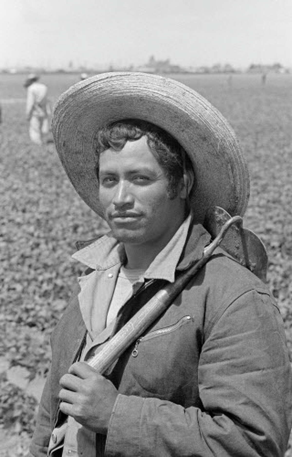"Bittersweet Harvest," a bilingual (English/Spanish) exhibition at the Holocaust Museum of Houston, explores the largest guest-worker program in U.S history.