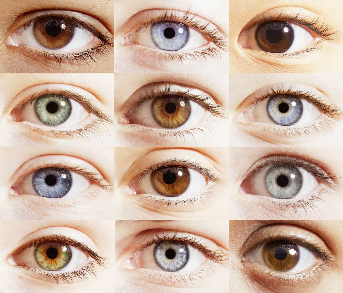 Hazel Eyes Color (Pictures, Genetics & Facts)