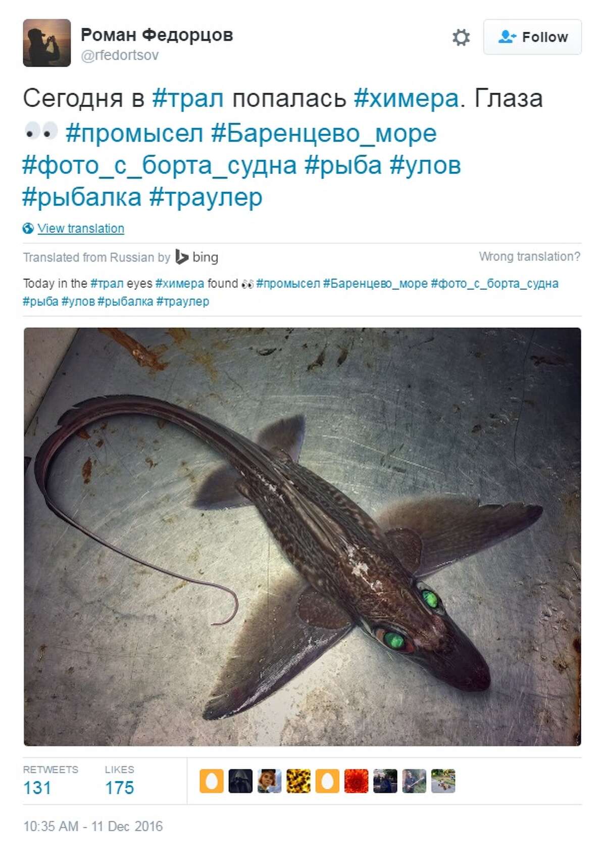 These Russian fish look like something straight out of science fiction