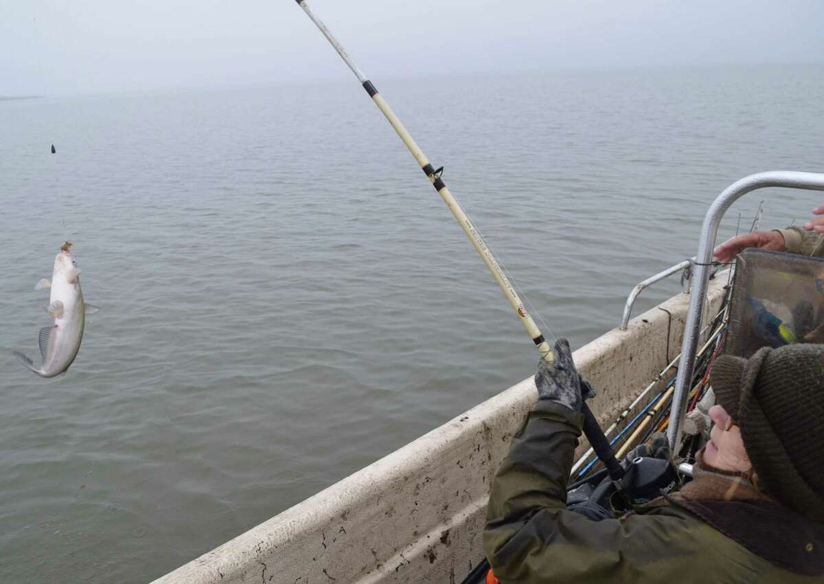 Winter blues best part of Choke Canyon Christmas