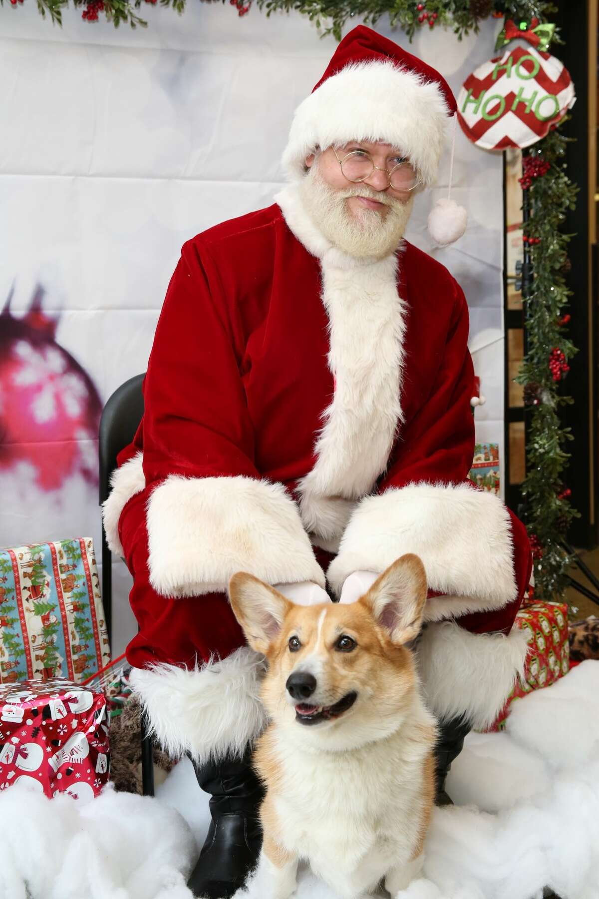 PetSmart shares its hilarious, adorable pet photos with Santa Claus