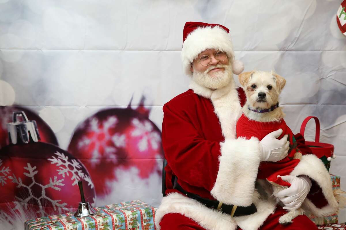 PetSmart shares its hilarious, adorable pet photos with Santa Claus